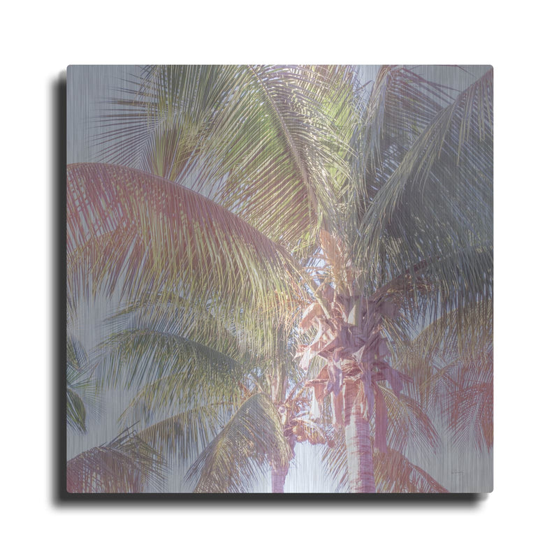 'Dream Palm 1 C' by Sue Schlabach – Metal Wall Art