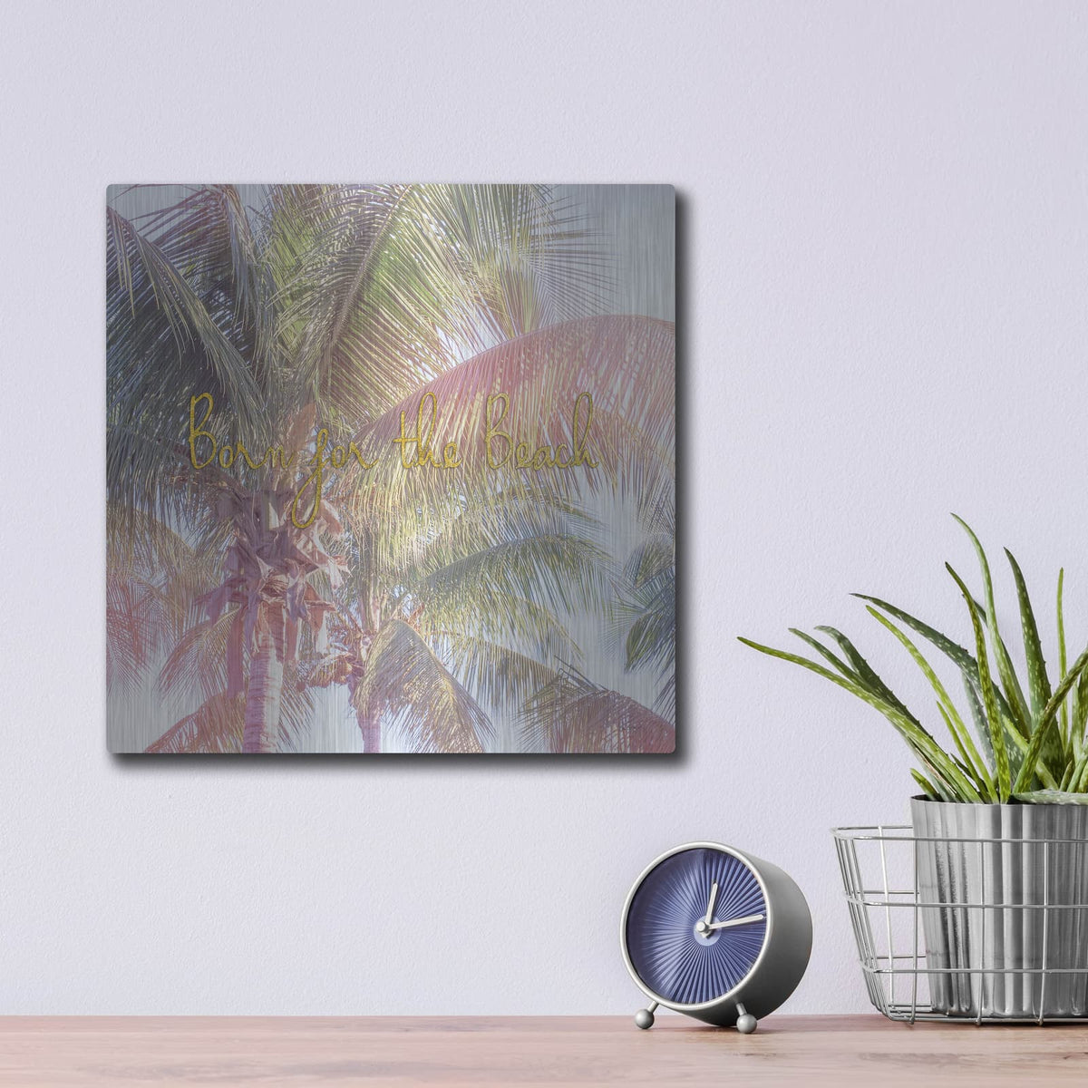 'Dream Palm 2 Born For The Beach' by Sue Schlabach – Metal Wall Art, 12x12 room view