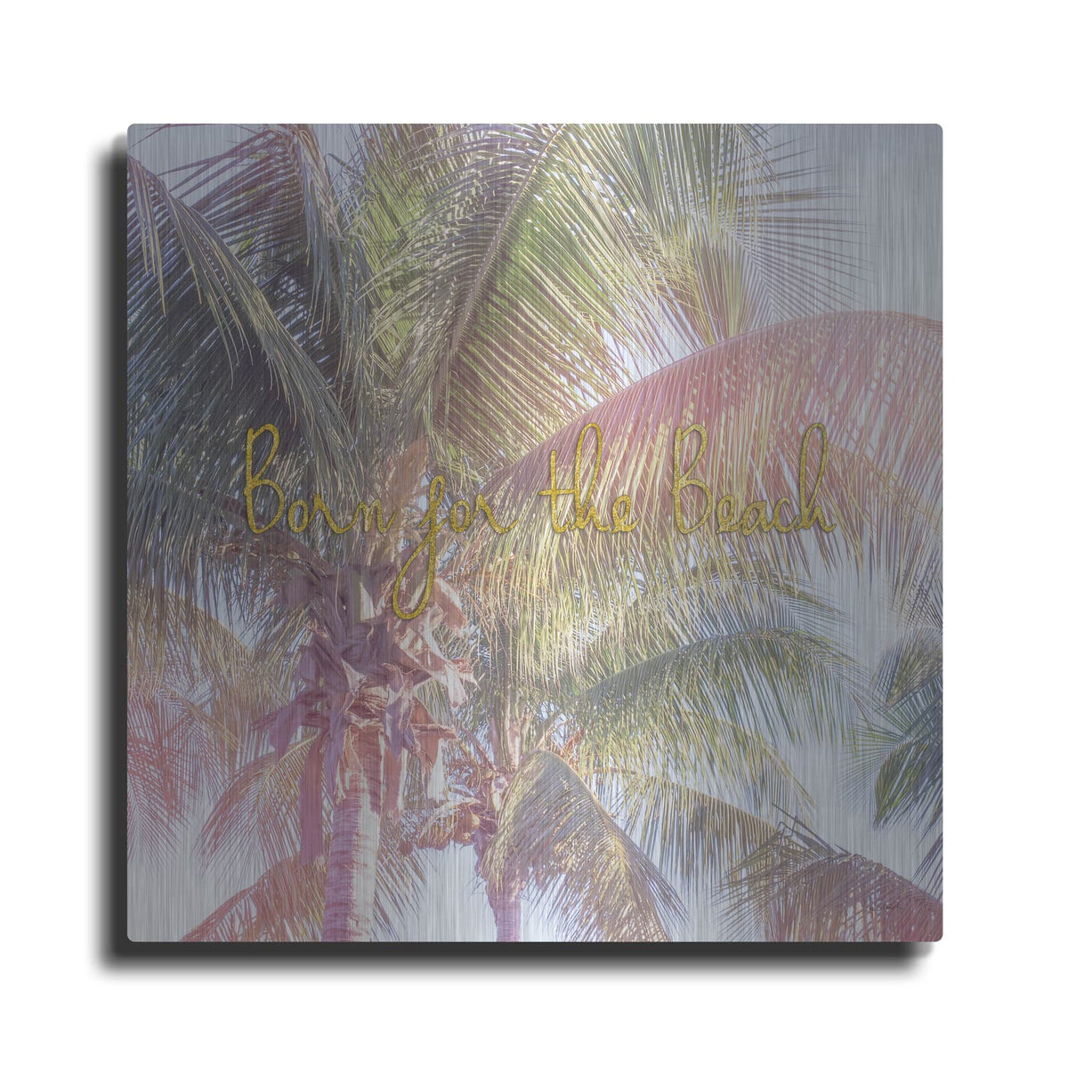 'Dream Palm 2 Born For The Beach' by Sue Schlabach – Metal Wall Art