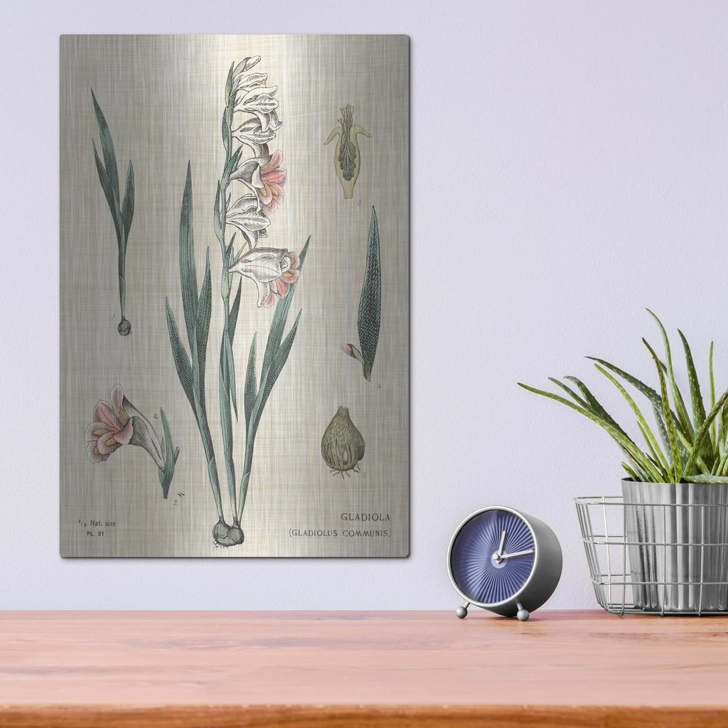 'Gladiola Chart Linen' by Sue Schlabach – Metal Wall Art, 12x16 room view