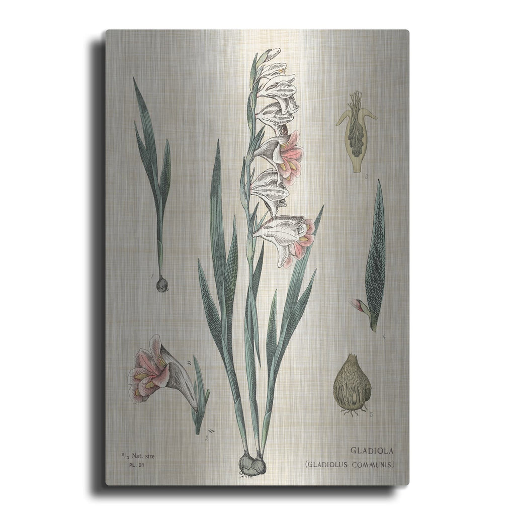 'Gladiola Chart Linen' by Sue Schlabach – Metal Wall Art