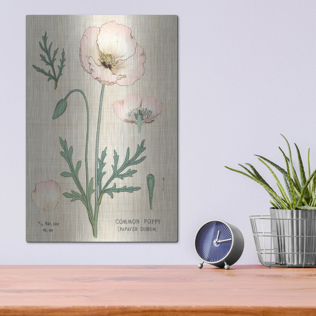 'Poppy Chart Linen' by Sue Schlabach – Metal Wall Art, 12x16 room view