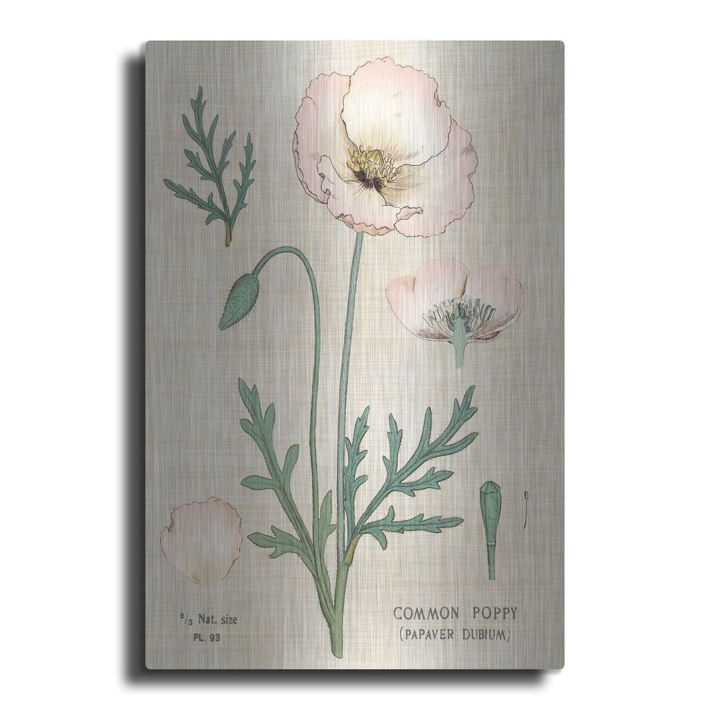 'Poppy Chart Linen' by Sue Schlabach – Metal Wall Art