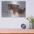 'Snowy Draft Horse' by Sue Schlabach – Metal Wall Art, 16x12 room view