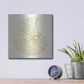 'Coastal Breeze Shell Sketches 7' by Anne Tavoletti – Metal Wall Art, 12x12 room view