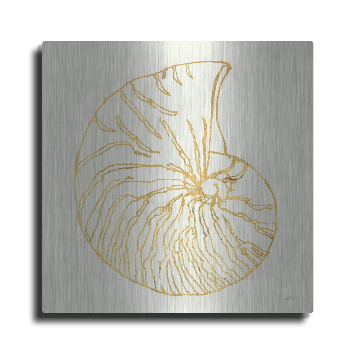 'Coastal Breeze Shell Sketches 7' by Anne Tavoletti – Metal Wall Art