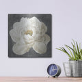 'Vivid Floral 1 White Flower' by Danhui Nai – Metal Wall Art, 12x12 room view