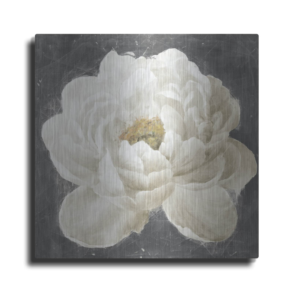'Vivid Floral 1 White Flower' by Danhui Nai – Metal Wall Art