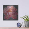 'Vivid Floral 1' by Danhui Nai – Metal Wall Art, 12x12 room view