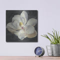 'Vivid Floral 4 C' by Danhui Nai – Metal Wall Art, 12x12 room view
