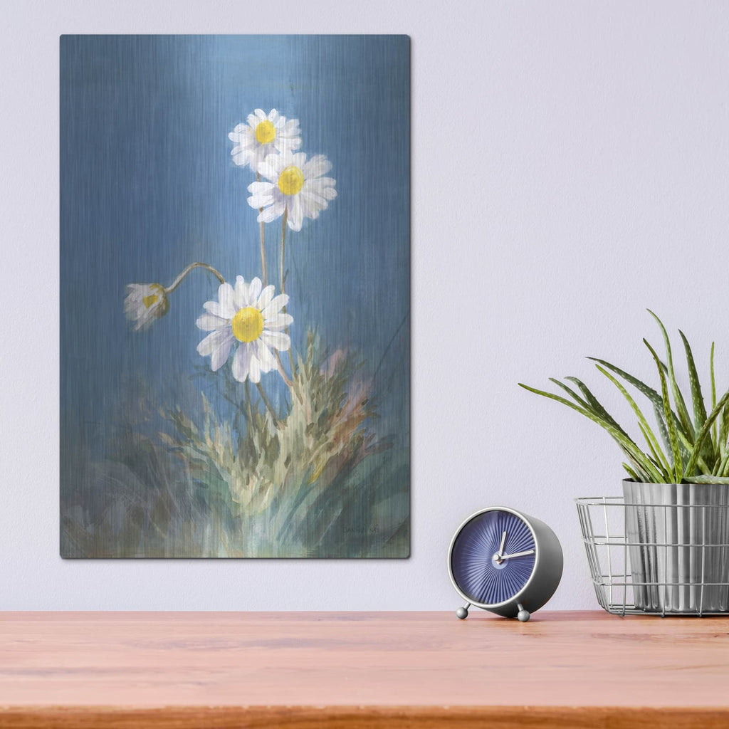 'White Daisies No Butterfly' by Danhui Nai – Metal Wall Art, 12x16 room view