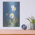 'White Daisies No Butterfly' by Danhui Nai – Metal Wall Art, 12x16 room view