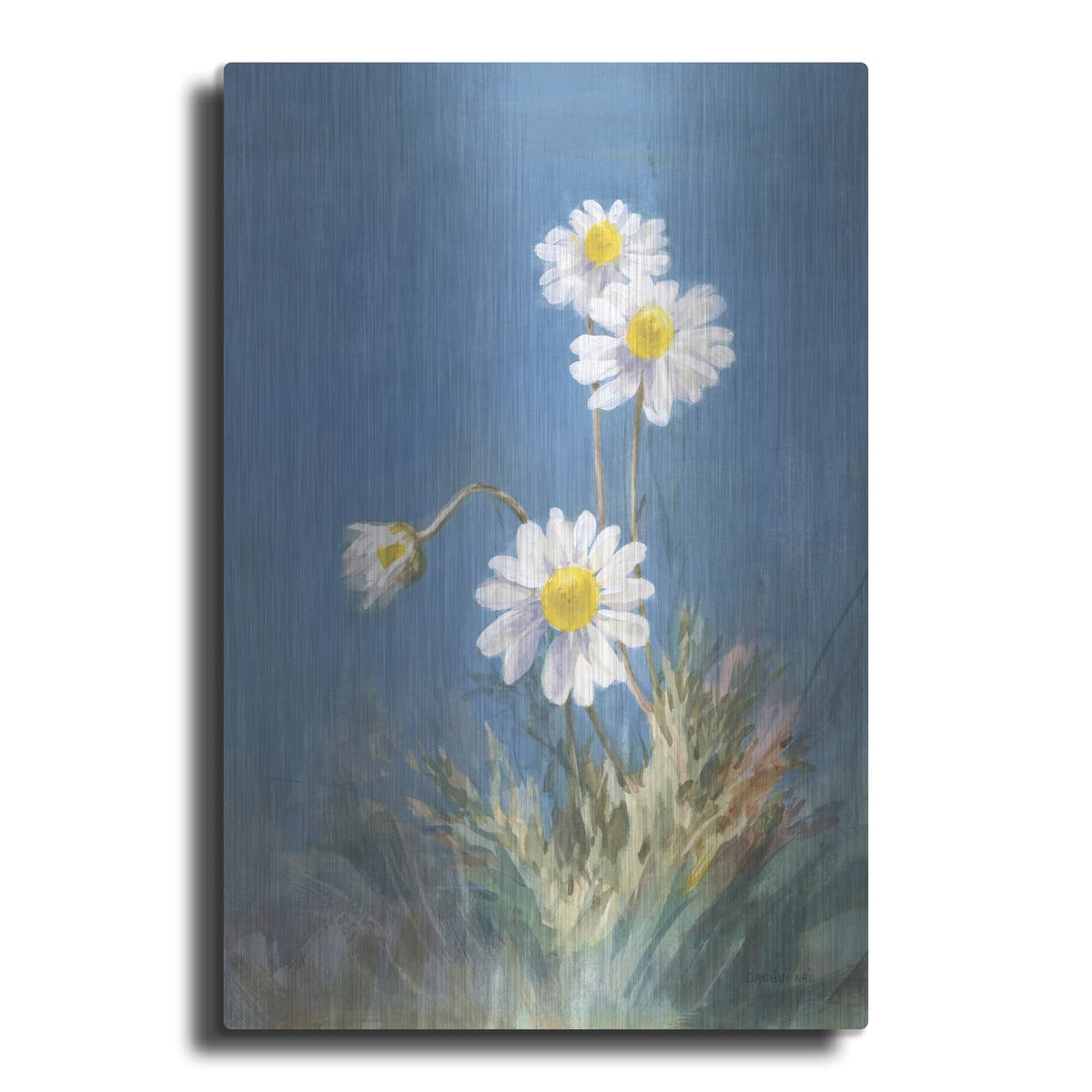 'White Daisies No Butterfly' by Danhui Nai – Metal Wall Art