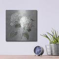 'White Hydrangeas' by Danhui Nai – Metal Wall Art, 12x12 room view