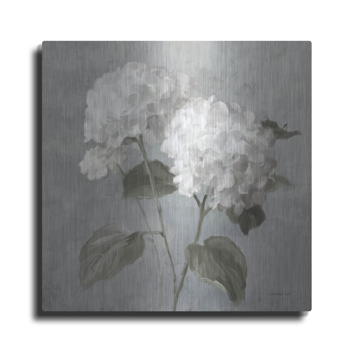 'White Hydrangeas' by Danhui Nai – Metal Wall Art