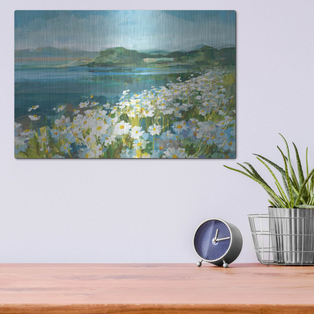 'Wild Daisy Bay' by Danhui Nai – Metal Wall Art, 16x12 room view