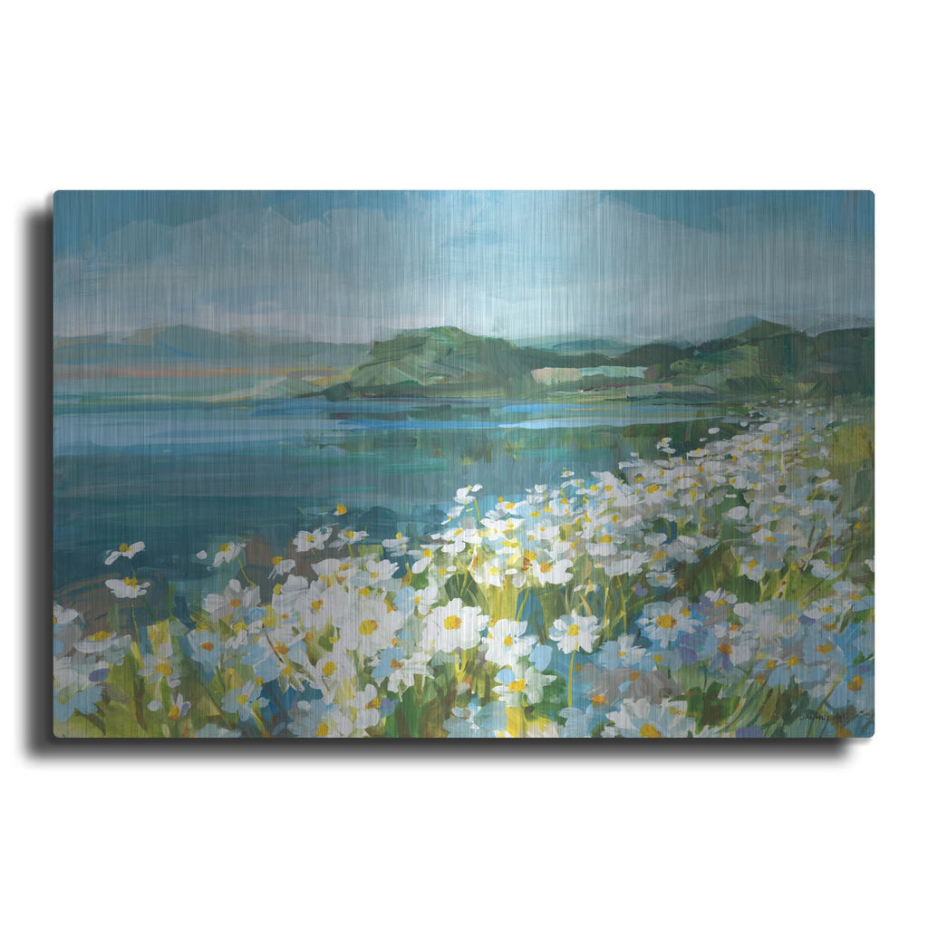 'Wild Daisy Bay' by Danhui Nai – Metal Wall Art