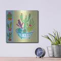 'Cacti Garden 3 No Birds And Butterflies' by Farida Zaman – Metal Wall Art, 12x12 room view