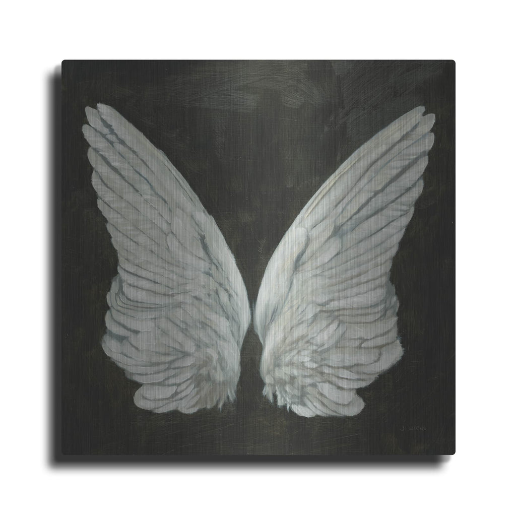'Wings 1' by James Wiens – Metal Wall Art