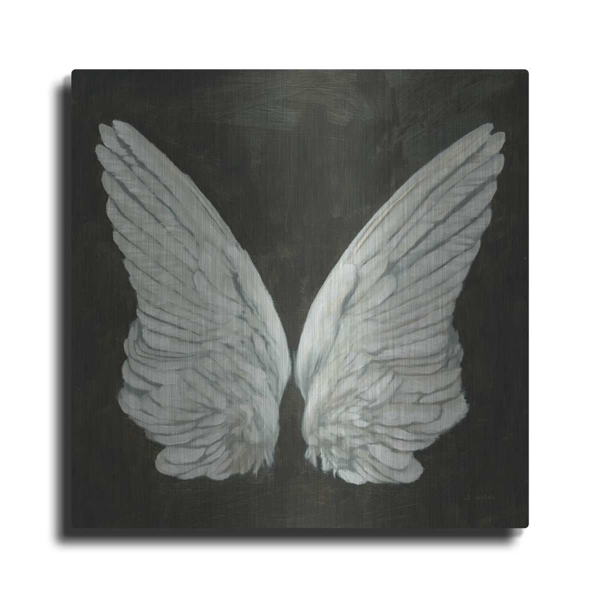 'Wings 1' by James Wiens – Metal Wall Art
