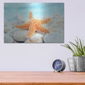 'Sea Star Dreams' – Metal Wall Art, 16x12 room view