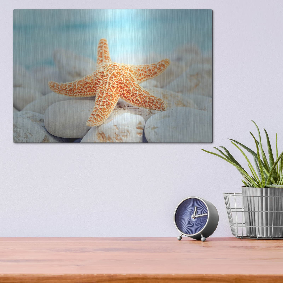 'Sea Star Dreams' – Metal Wall Art, 16x12 room view