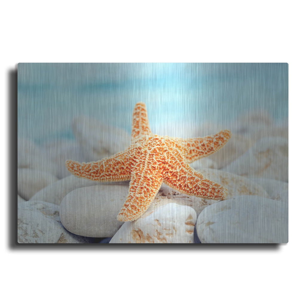 'Sea Star Dreams' – Metal Wall Art