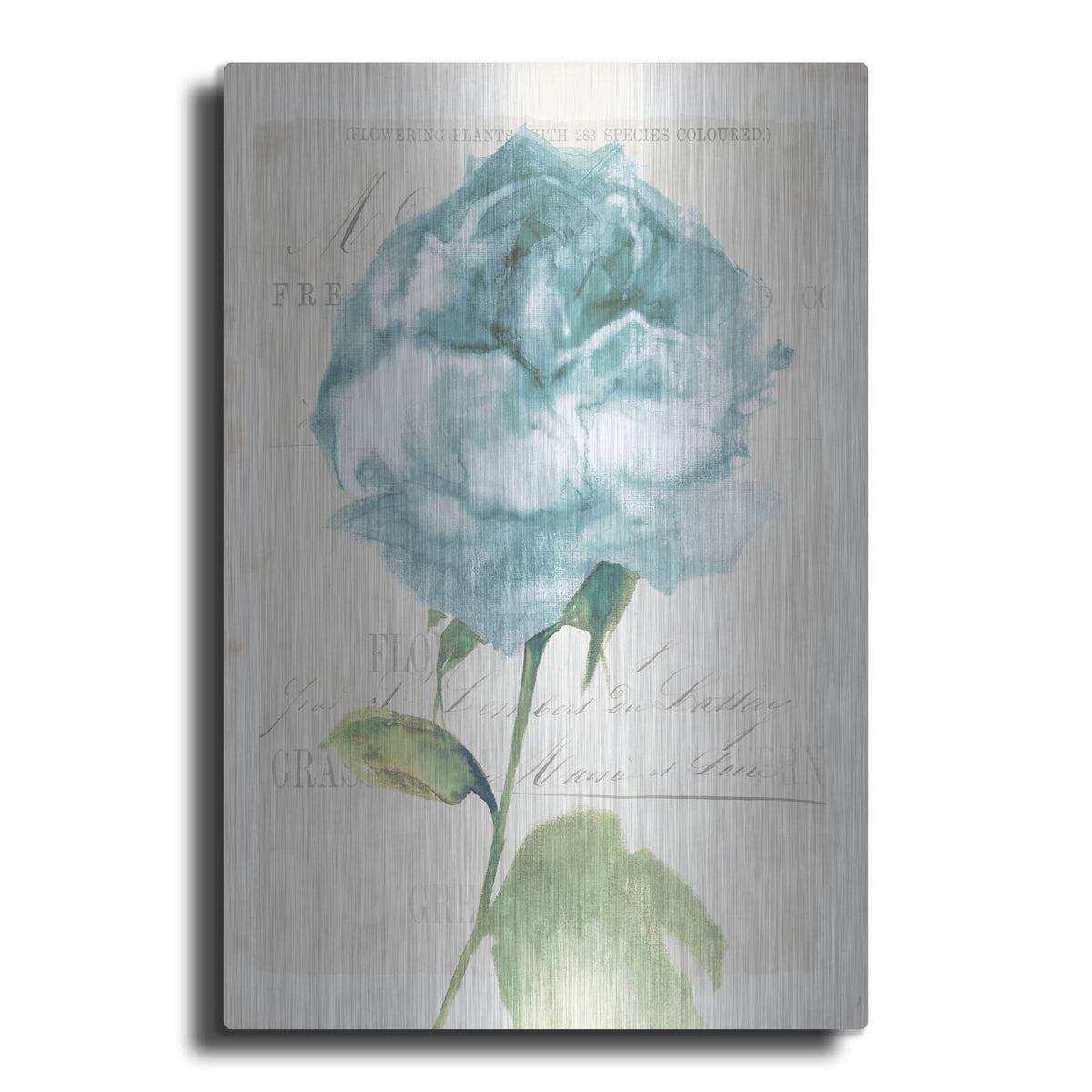 'Antique Floral 2 Blue Vintage' by Wild Apple Portfolio – Metal Wall Art