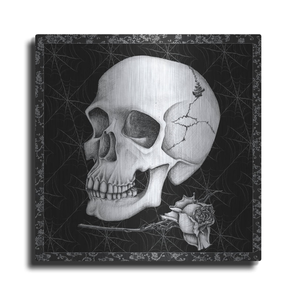 'Arsenic And Old Lace Bw No Words 3' by Wild Apple Portfolio – Metal Wall Art