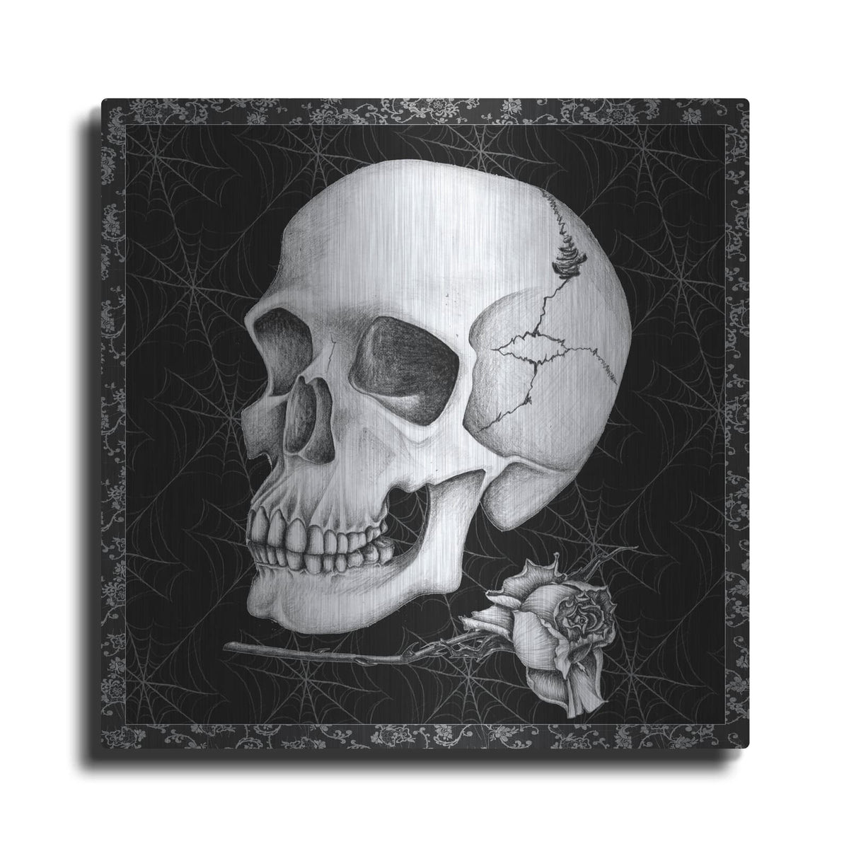 'Arsenic And Old Lace Bw No Words 3' by Wild Apple Portfolio – Metal Wall Art