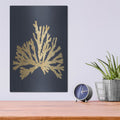 'Pacific Sea Mosses 4 Indigo' by Wild Apple Portfolio – Metal Wall Art, 12x16 room view