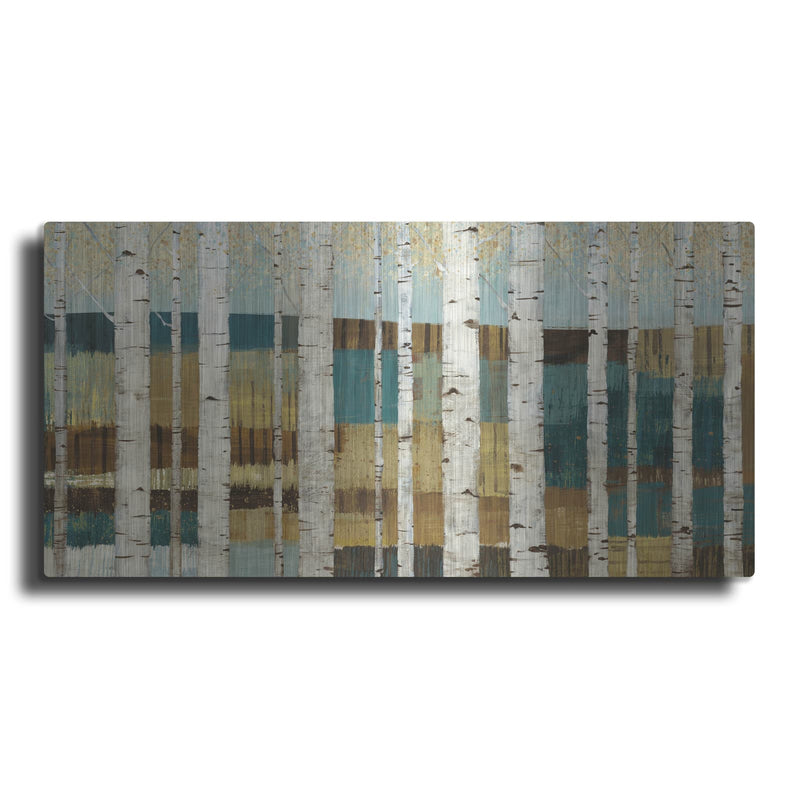 'Shimmering Valley' by Wild Apple Portfolio – Metal Wall Art