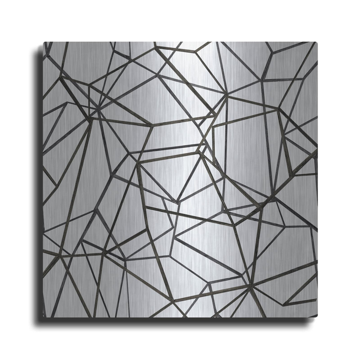 'Succulent Pattern Bw' by Wild Apple Portfolio – Metal Wall Art