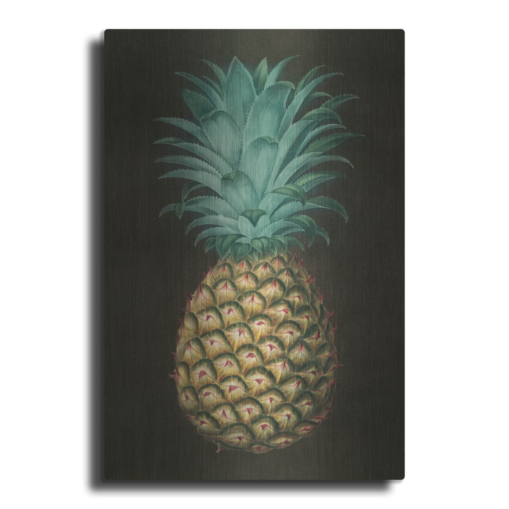 'Vintage Pineapple 1' by Wild Apple Portfolio – Metal Wall Art