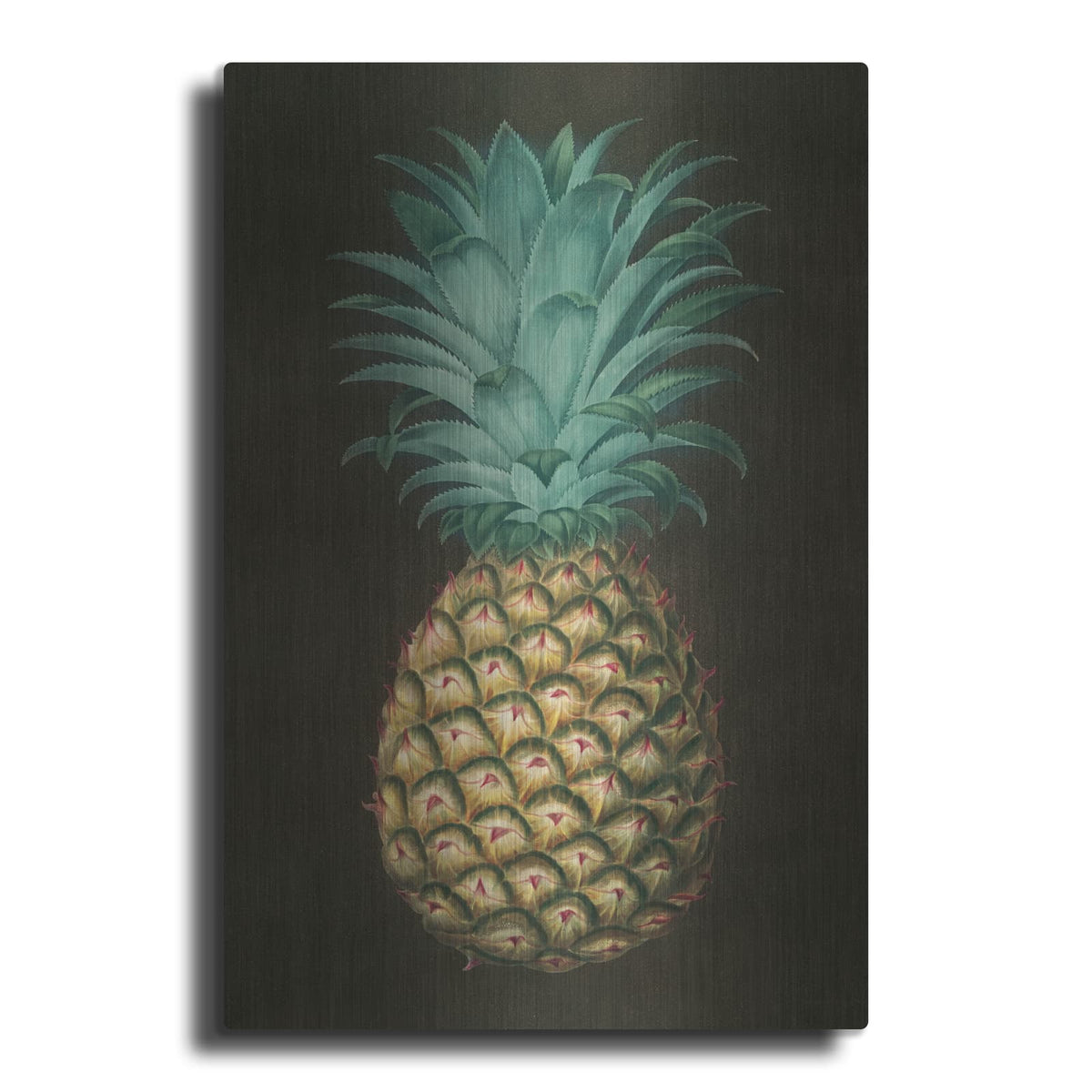 'Vintage Pineapple 1' by Wild Apple Portfolio – Metal Wall Art