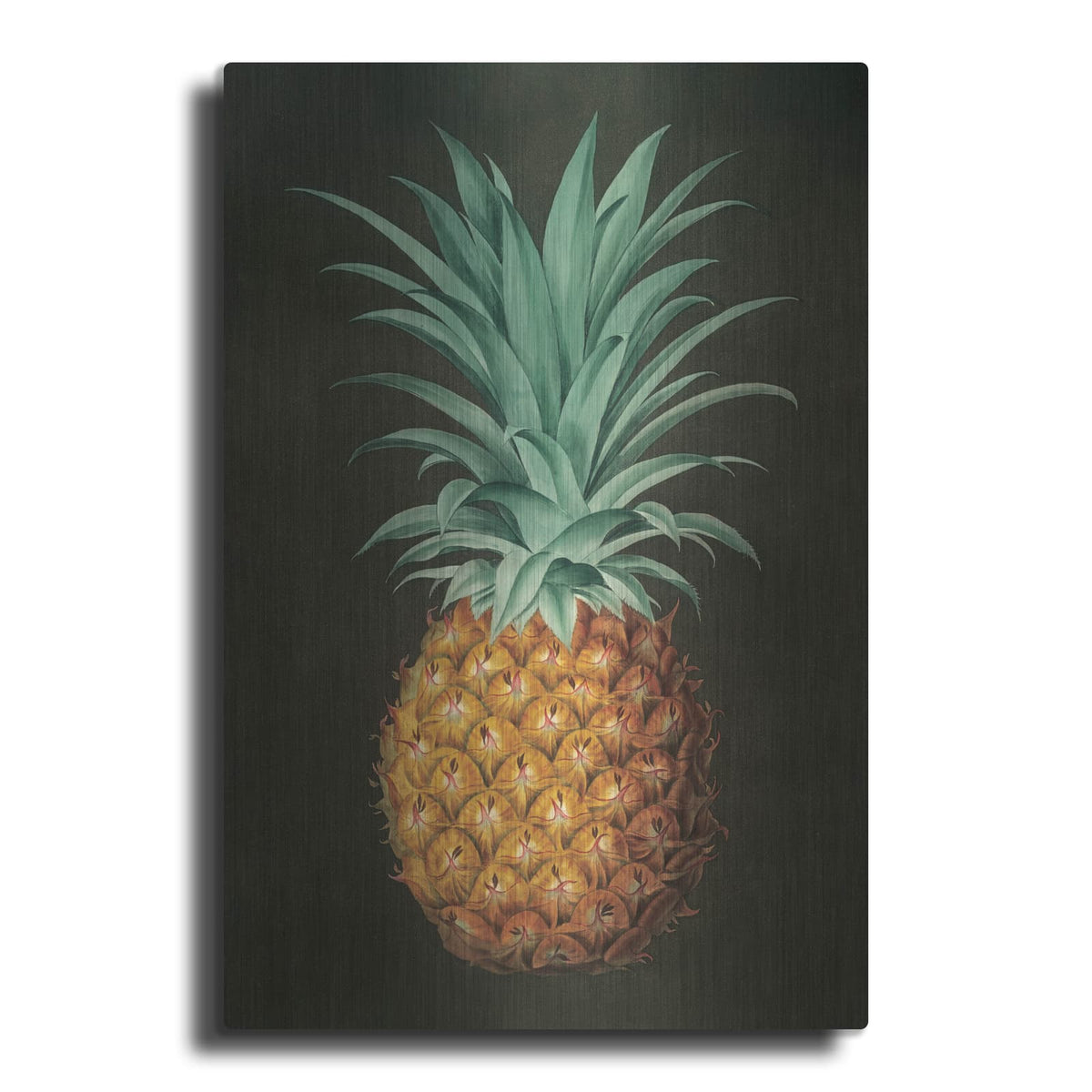 'Vintage Pineapple 2' by Wild Apple Portfolio – Metal Wall Art