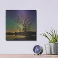 'Tree Under Aurora Borealis' by Luxe Metal Portfolio – Metal Wall Art, 12x12 room view