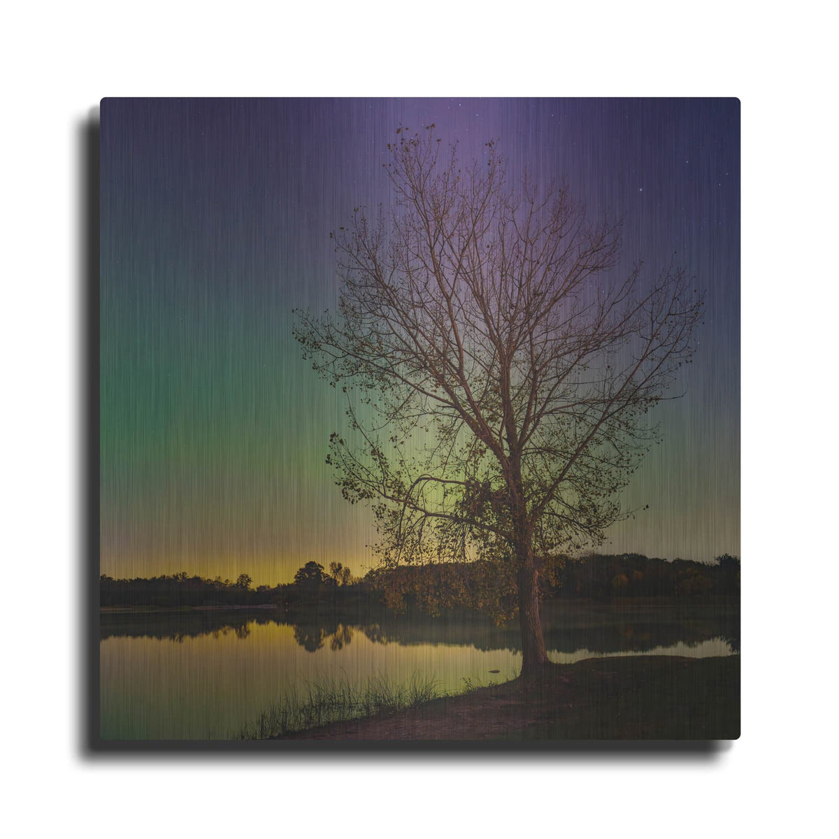 'Tree Under Aurora Borealis' by Luxe Metal Portfolio – Metal Wall Art