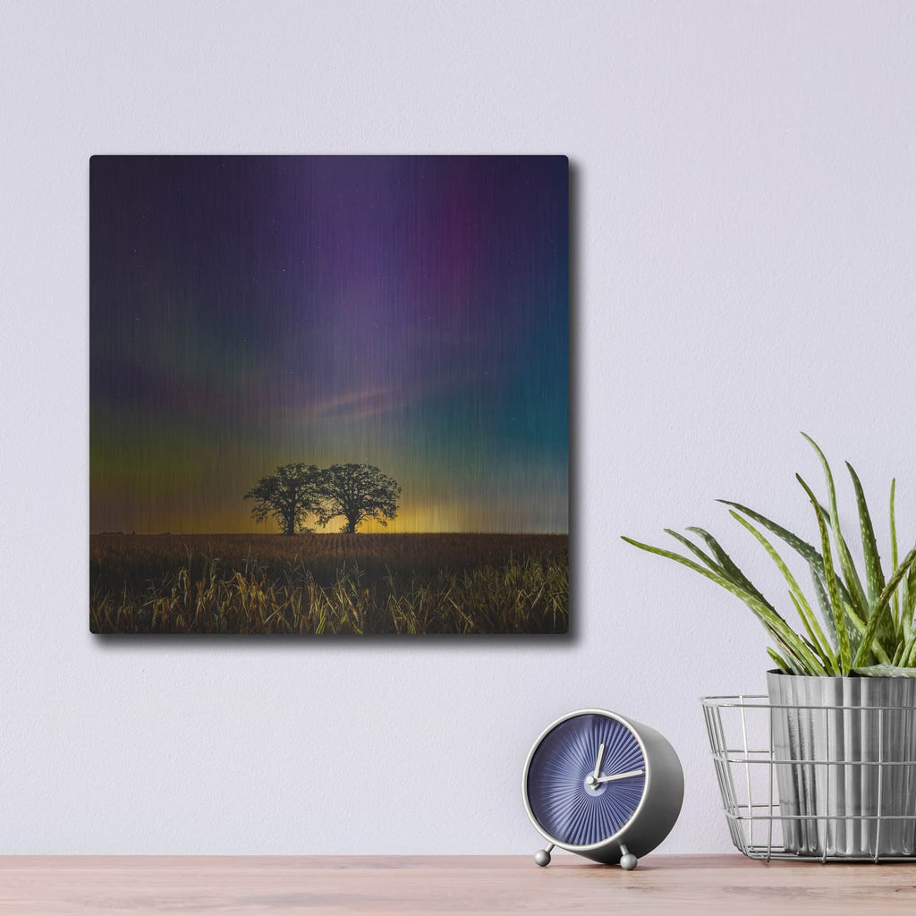 'Two Trees Under Aurora' by Luxe Metal Portfolio – Metal Wall Art, 12x12 room view