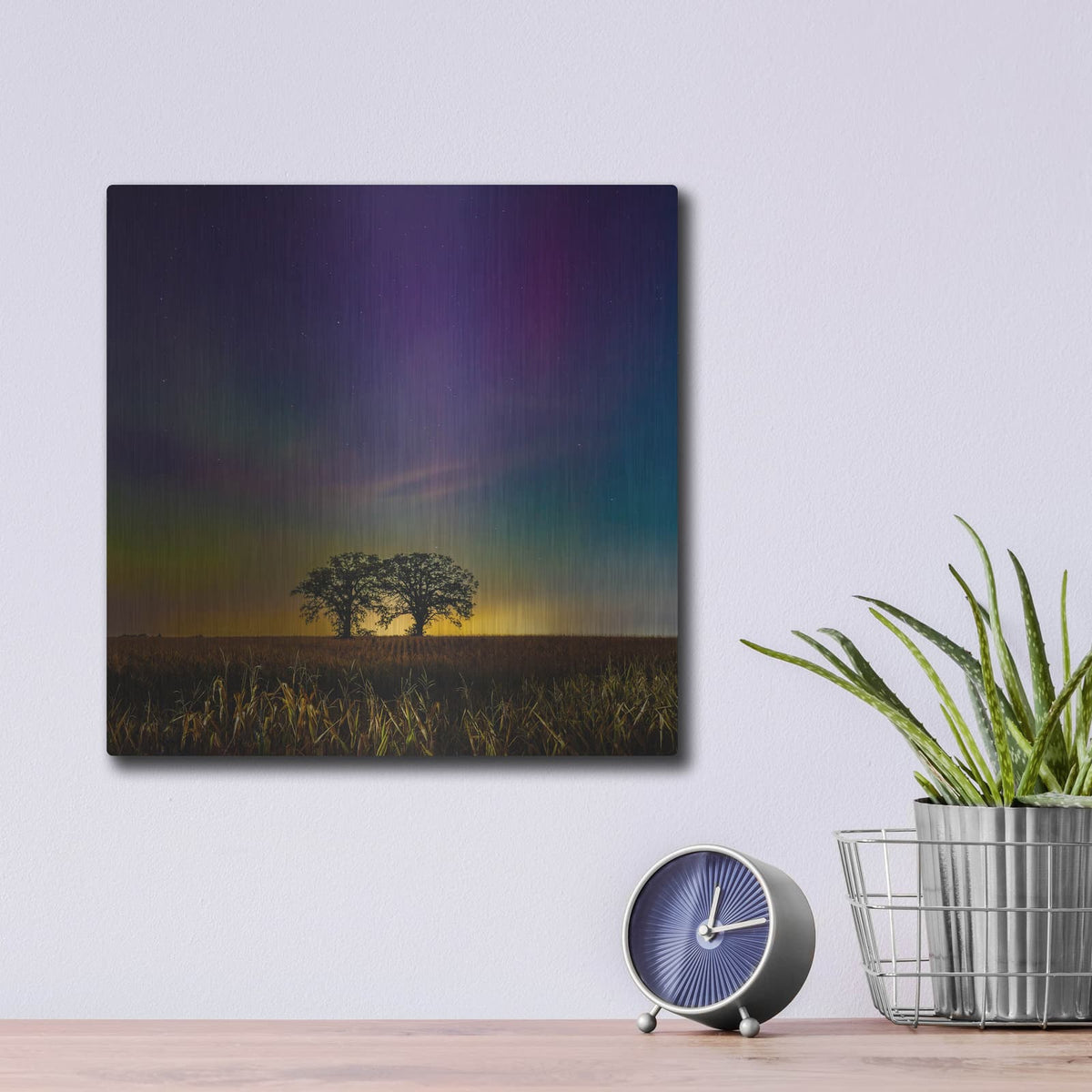 'Two Trees Under Aurora' by Luxe Metal Portfolio – Metal Wall Art, 12x12 room view