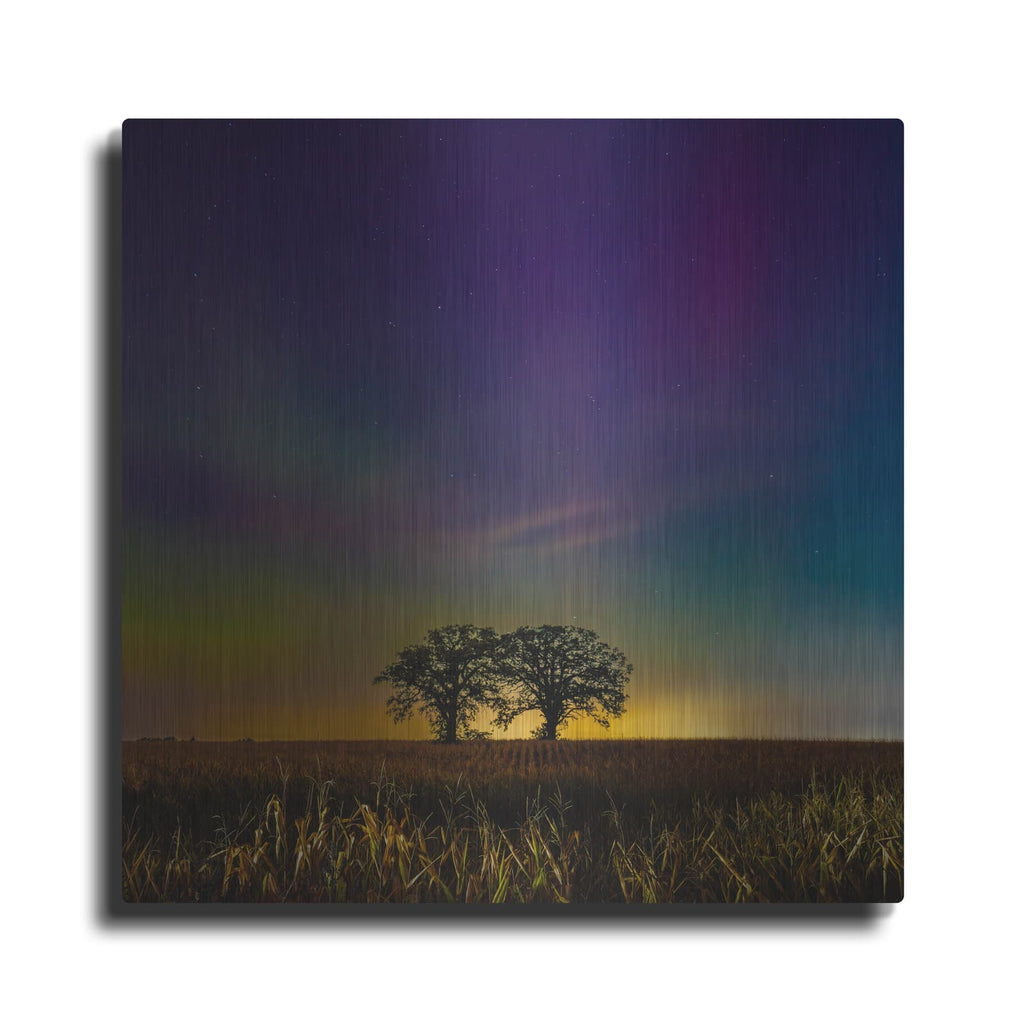 'Two Trees Under Aurora' by Luxe Metal Portfolio – Metal Wall Art