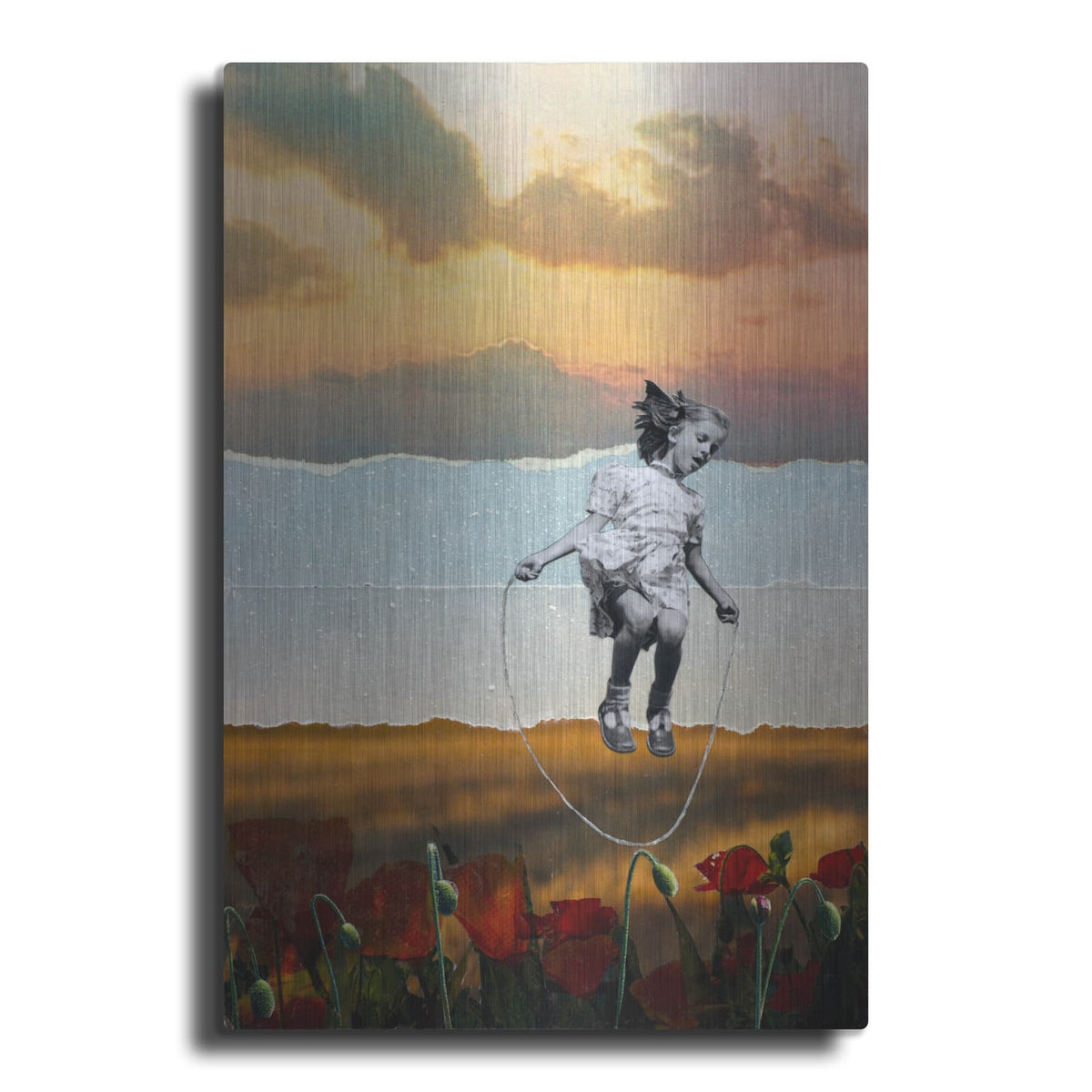 'POPPIES' by DB Waterman – Metal Wall Art