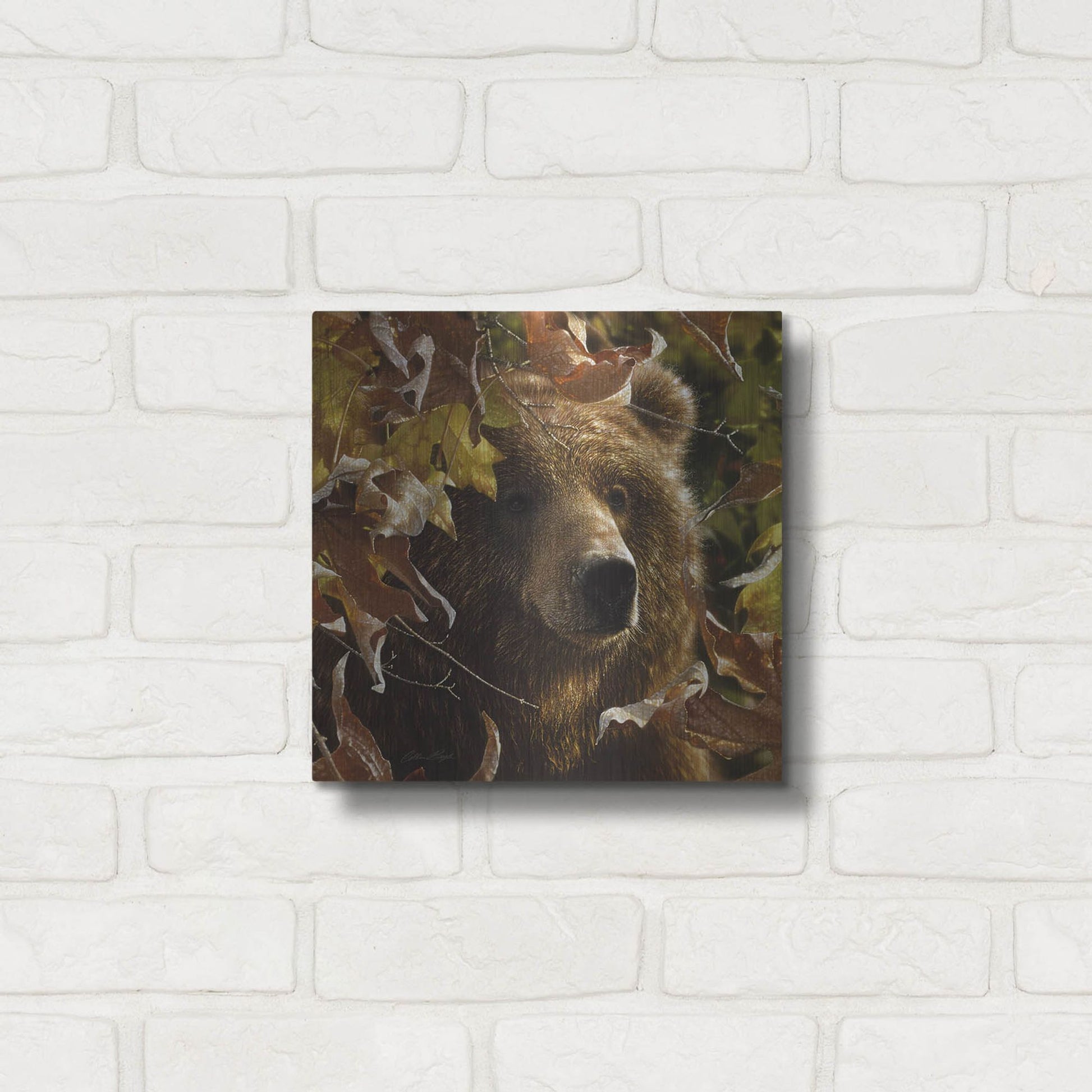 Luxe Metal Art 'Legend Of The Fall' by Collin Bogle, Metal Wall Art,12x12