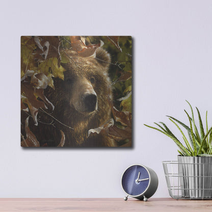 Luxe Metal Art 'Legend Of The Fall' by Collin Bogle, Metal Wall Art,12x12