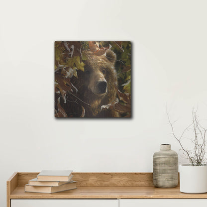 Luxe Metal Art 'Legend Of The Fall' by Collin Bogle, Metal Wall Art,12x12