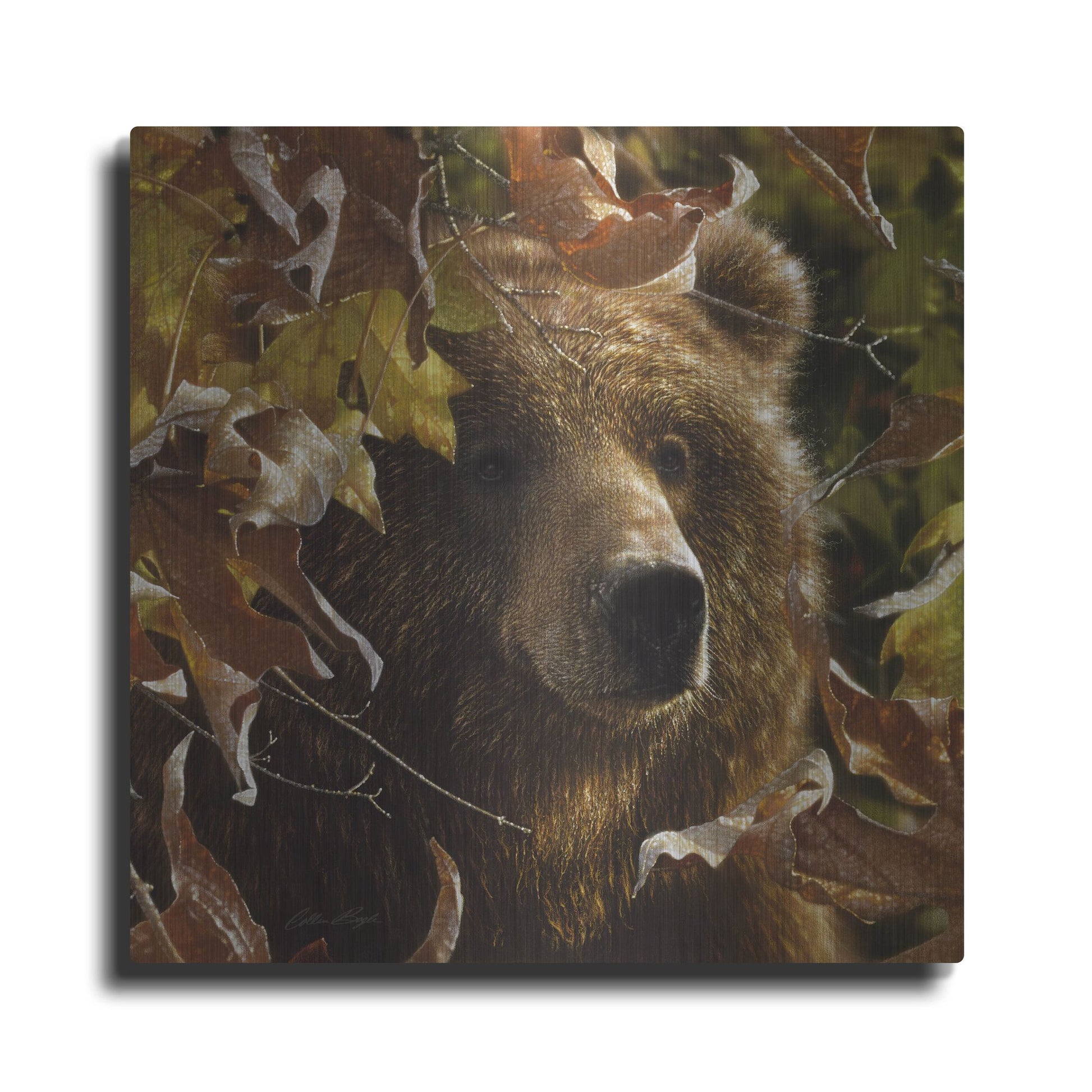 Luxe Metal Art 'Legend Of The Fall' by Collin Bogle, Metal Wall Art