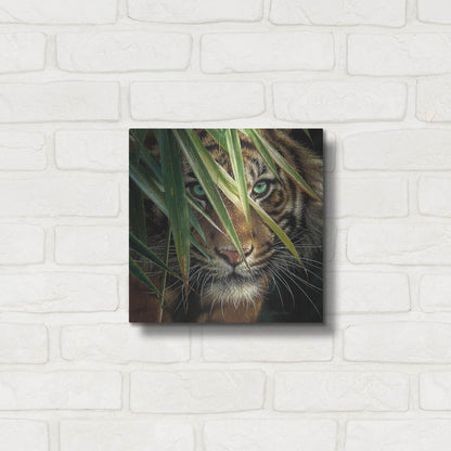 Luxe Metal Art 'Tiger Eyes' by Collin Bogle, Metal Wall Art,12x12