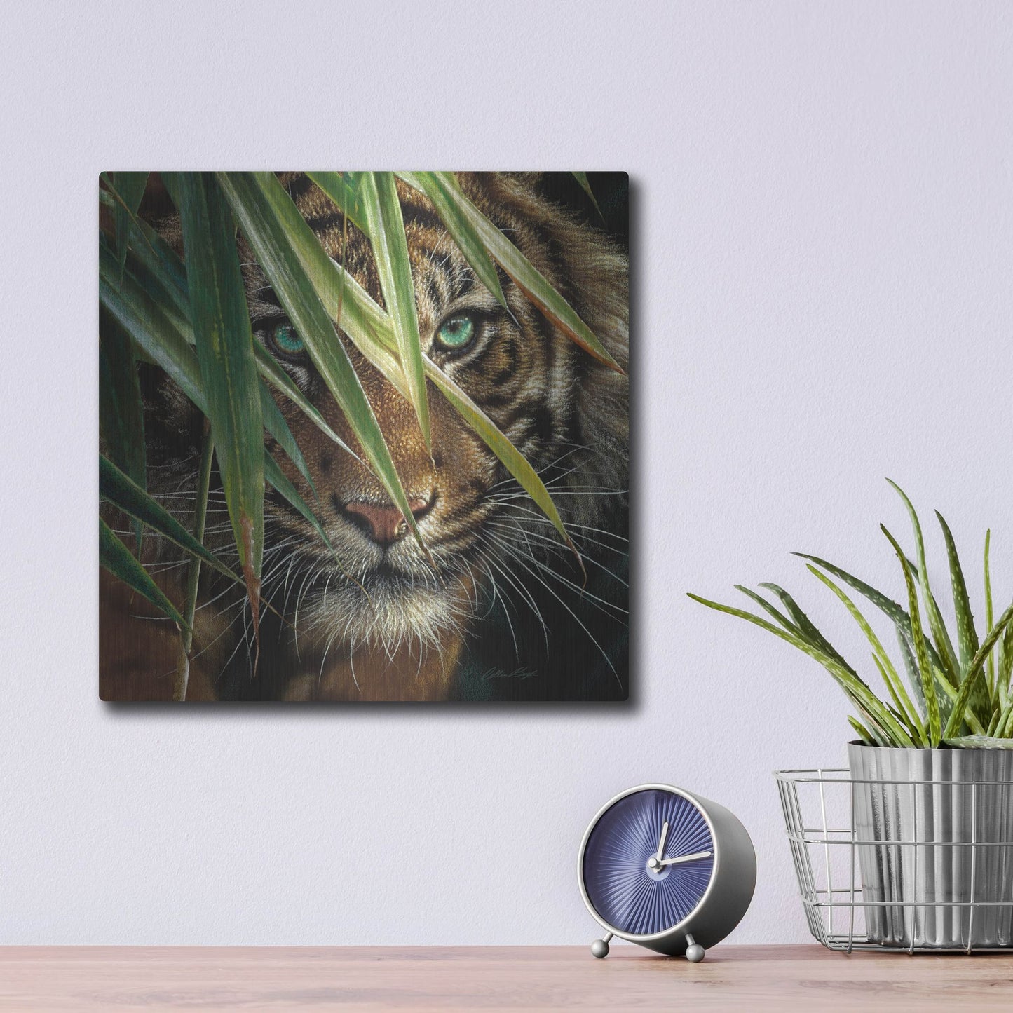 Luxe Metal Art 'Tiger Eyes' by Collin Bogle, Metal Wall Art,12x12