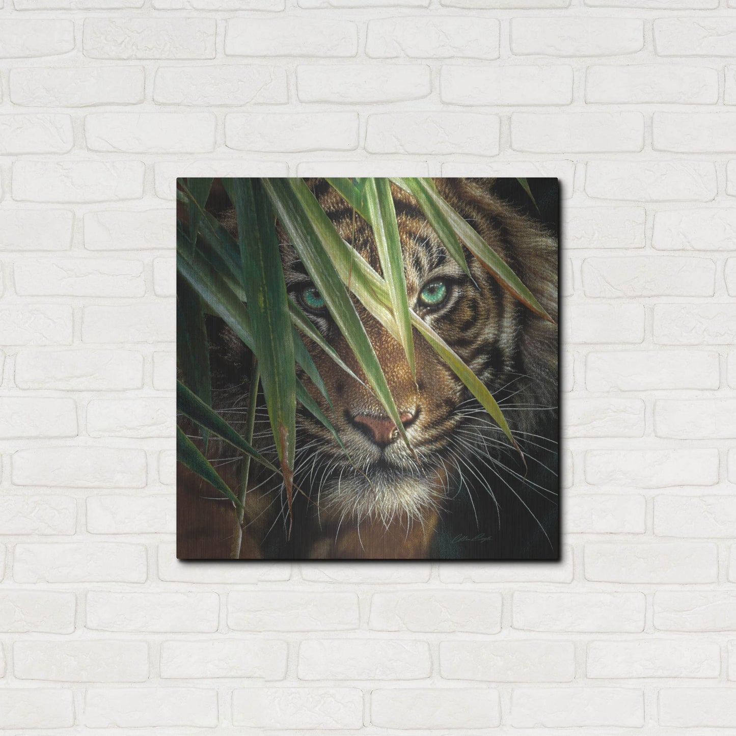 Luxe Metal Art 'Tiger Eyes' by Collin Bogle, Metal Wall Art,24x24