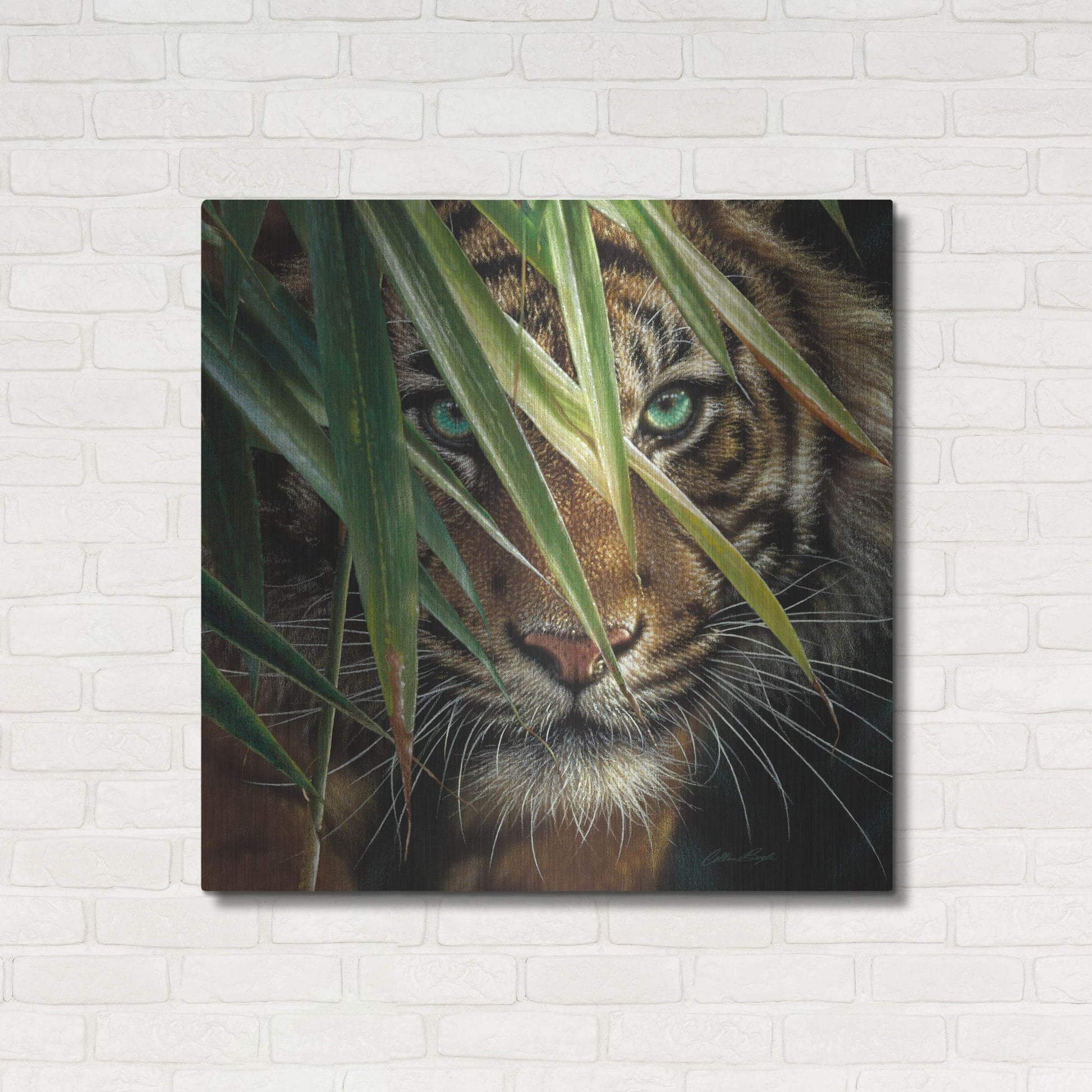 Luxe Metal Art 'Tiger Eyes' by Collin Bogle, Metal Wall Art,36x36